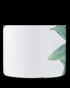 Tivoli 350 ml><noscript><img width=